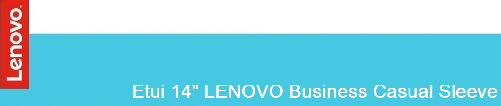 AAEtuiLENOVOBusinessCasualSleeve14inch-1.png (82.2 kB)